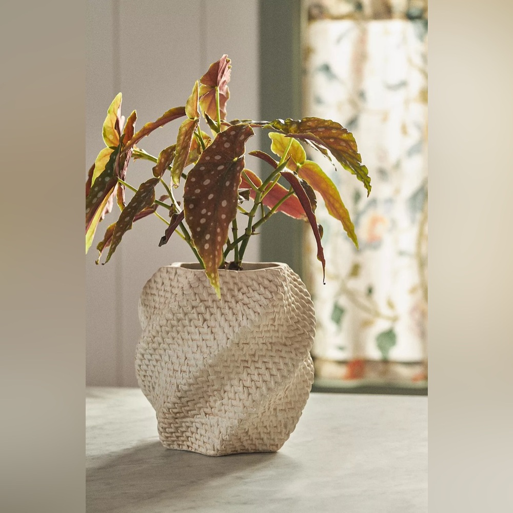 Anthropologie LENNON TEXTURED PLANTER
Style No.  4554G810AA Color: Cream
Size: L - Picture 2 of 9